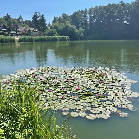 To Kincse Nyirjes Vendeghaz Balassagyarmat