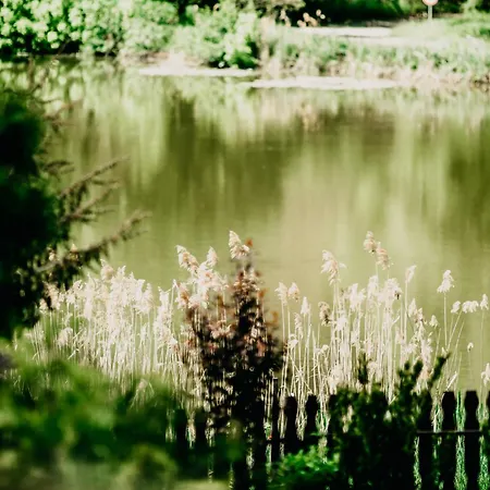 To Kincse Nyirjes Vendeghaz *